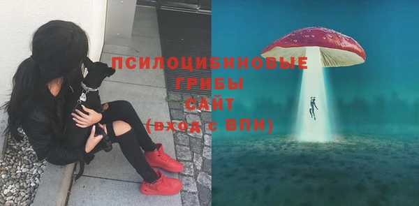 синтетический гашиш Нефтекумск