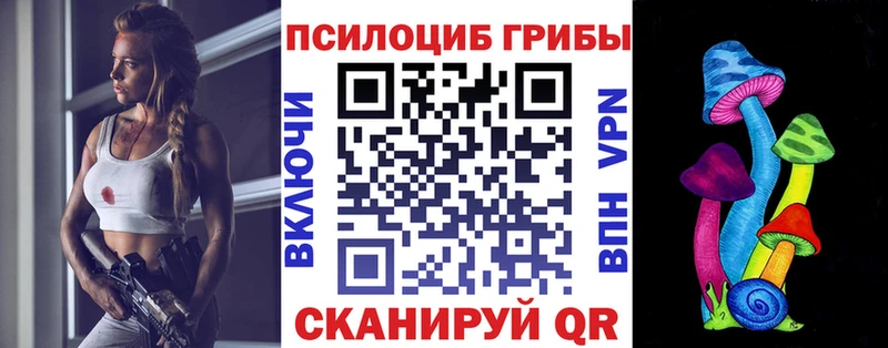 Купить закладки  Кемерово  Галлюциногенные грибы Psilocybine cubensis